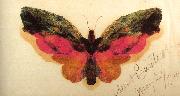 Albert Bierstadt Butterfly oil painting artist
